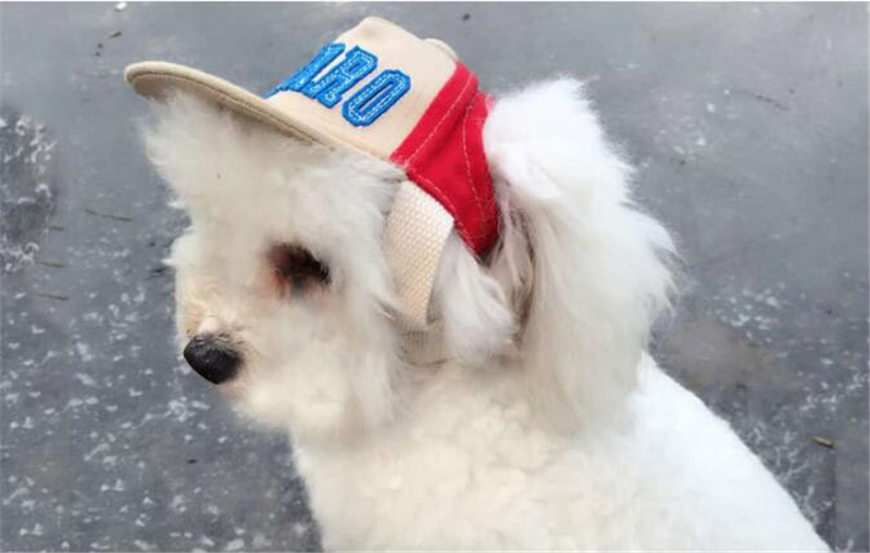 New Hot Outdoor Adjustable With Ear Holes Pet Dog Baseball Hat