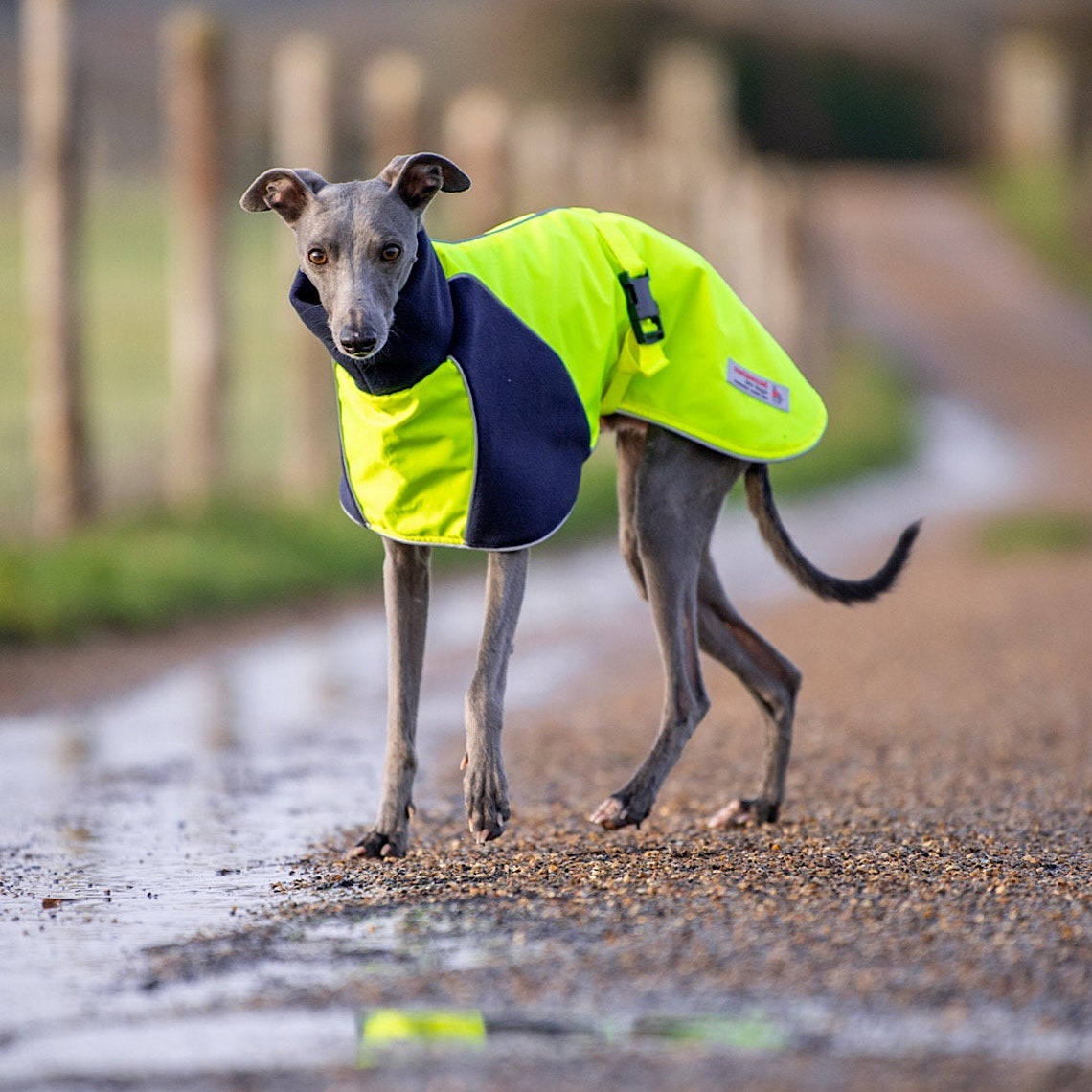 Qiqu Pet Supplies  New Designer wind repellent resistant reflective coat jacket cloak cape  for Dog For Large Whip