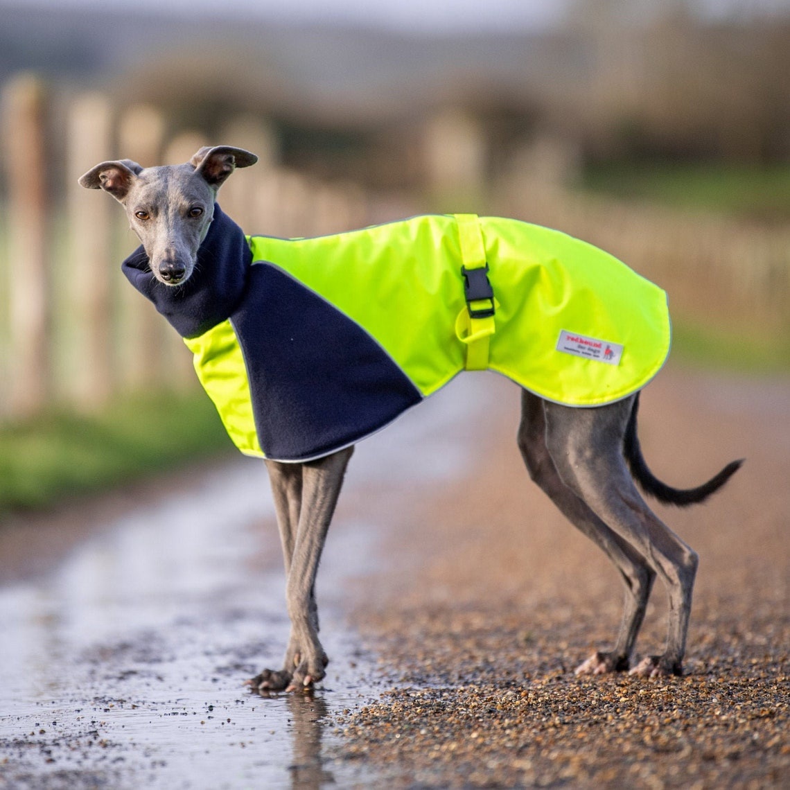 Qiqu Pet Supplies  New Designer wind repellent resistant reflective coat jacket cloak cape  for Dog For Large Whip