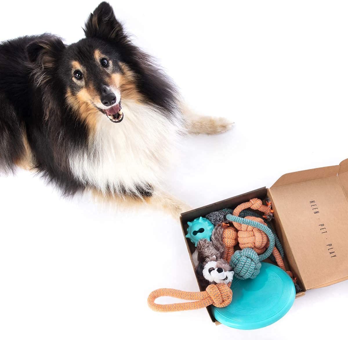 Birthday Present Dog Toys Set Puppy Teething Toys for Boredom