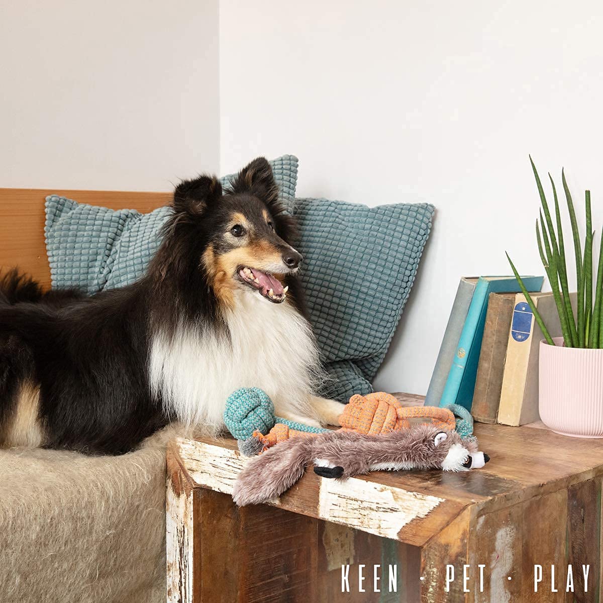 Birthday Present Dog Toys Set Puppy Teething Toys for Boredom