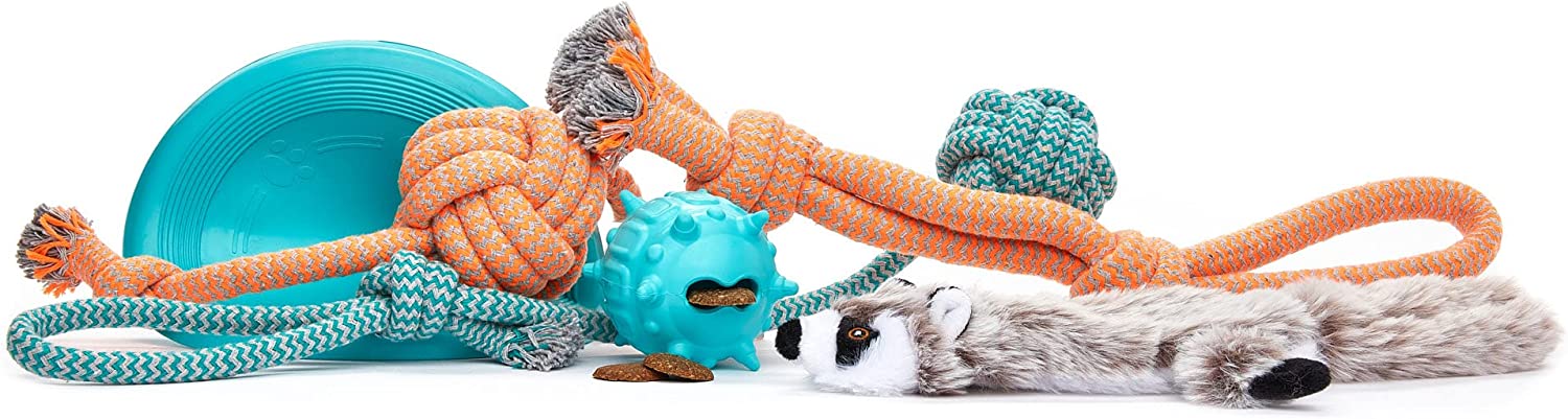 Birthday Present Dog Toys Set Puppy Teething Toys for Boredom