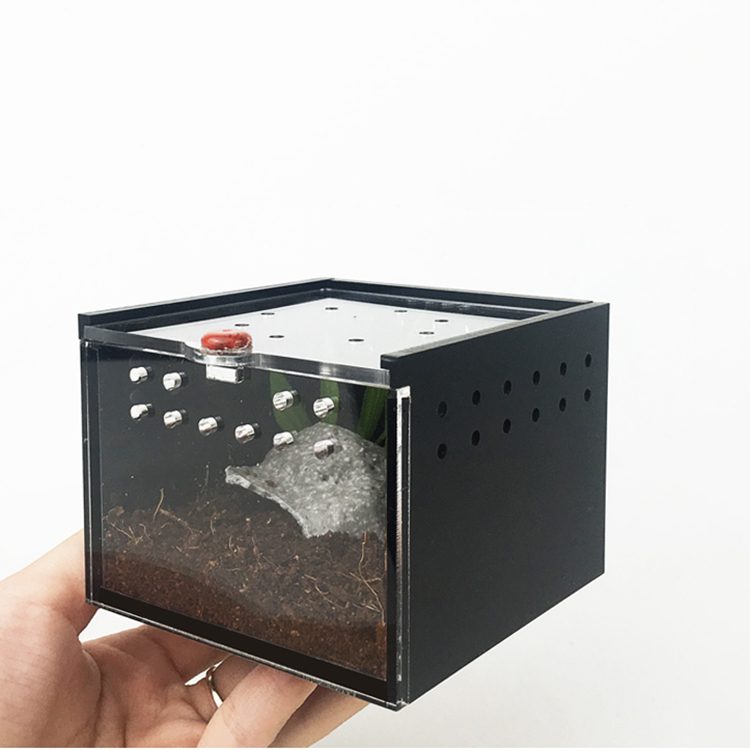 Spider Box Plastic Terrarium Breeding Case For Gecko Lizard Scorpion Unicorn Insect Black Acrylic Reptile Cage