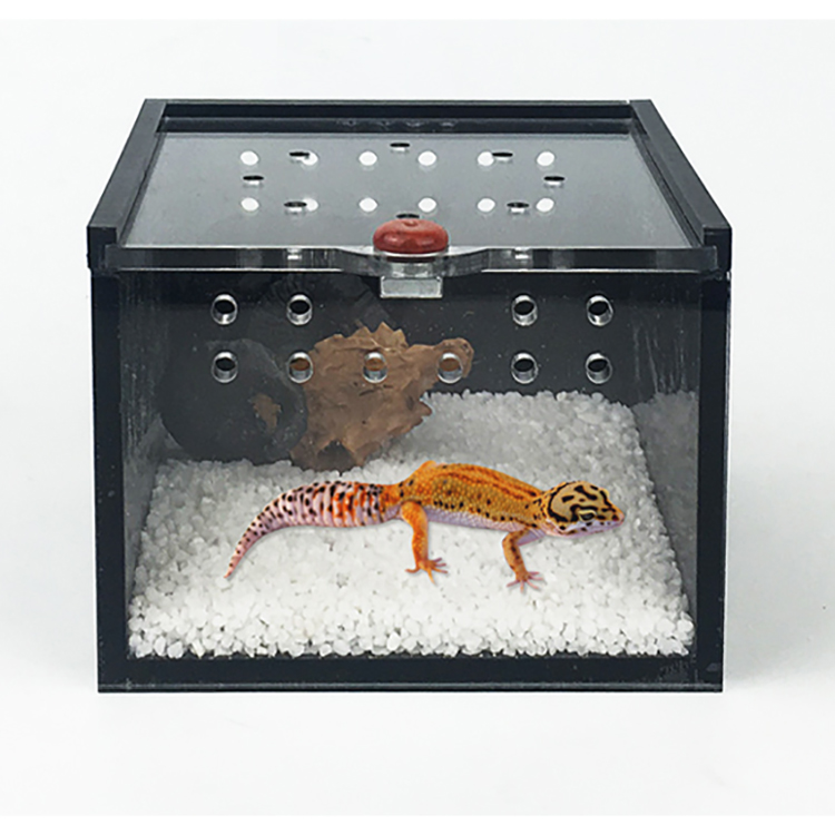 Spider Box Plastic Terrarium Breeding Case For Gecko Lizard Scorpion Unicorn Insect Black Acrylic Reptile Cage