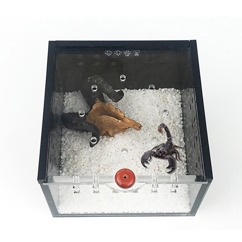 Spider Box Plastic Terrarium Breeding Case For Gecko Lizard Scorpion Unicorn Insect Black Acrylic Reptile Cage