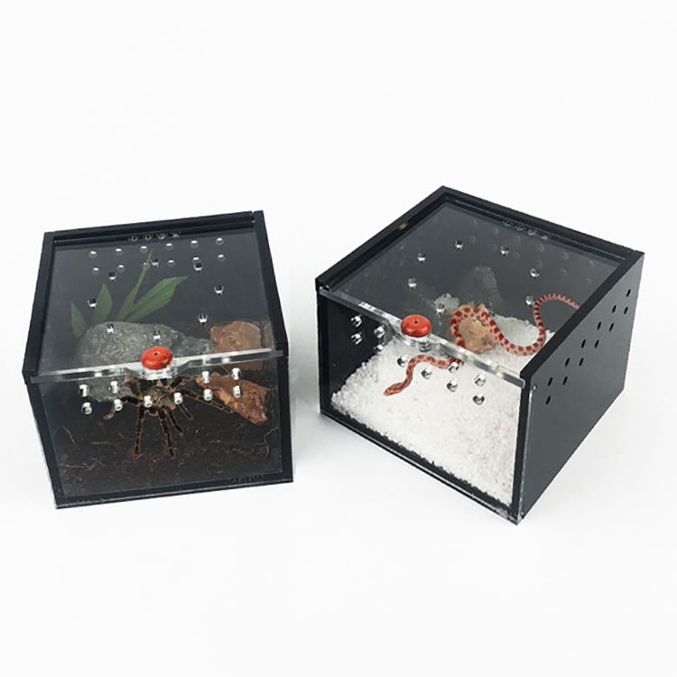 Spider Box Plastic Terrarium Breeding Case For Gecko Lizard Scorpion Unicorn Insect Black Acrylic Reptile Cage