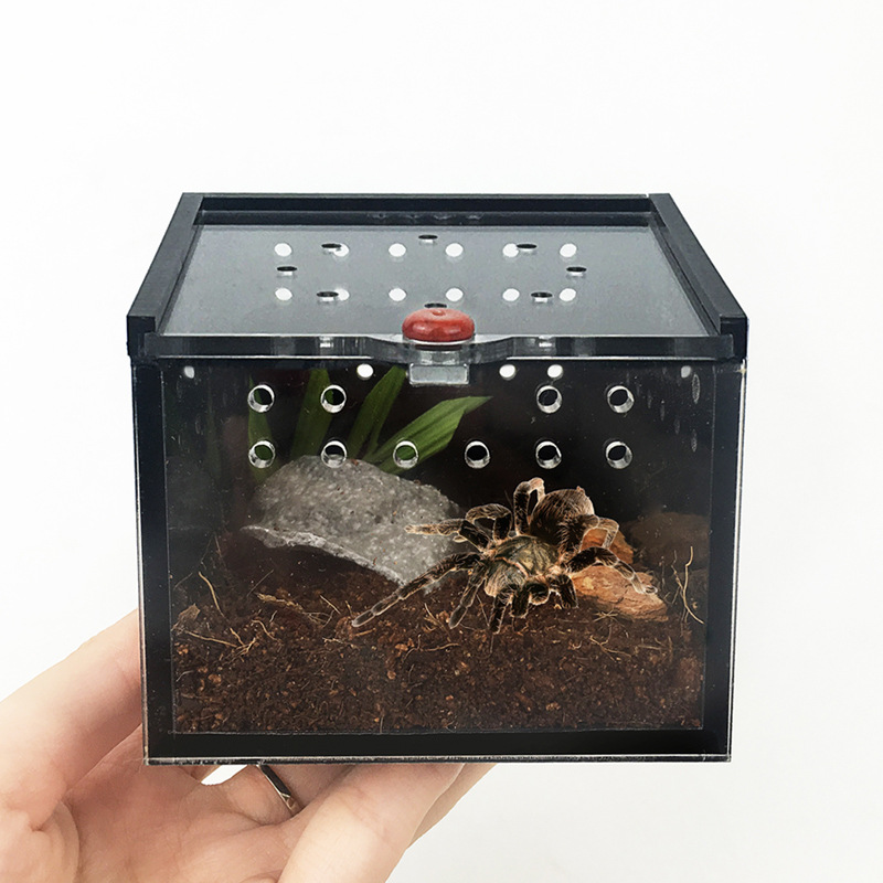 Spider Box Plastic Terrarium Breeding Case For Gecko Lizard Scorpion Unicorn Insect Black Acrylic Reptile Cage