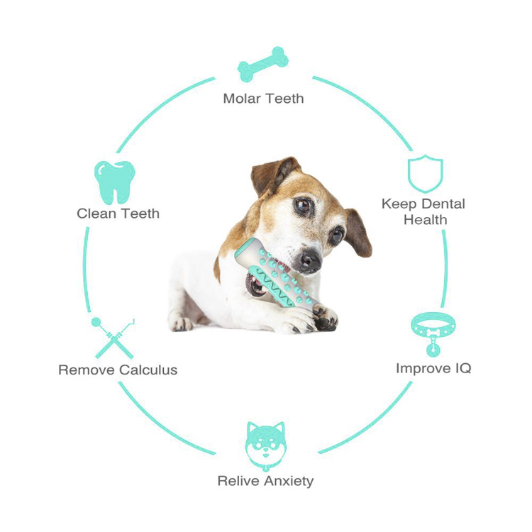 Dog Molar Toothbrush Toy Chew Cleaning Teeth Safe Elasticity Soft TPR Puppy Dental Care Extra-tough Pet Cleaning Toy Sup