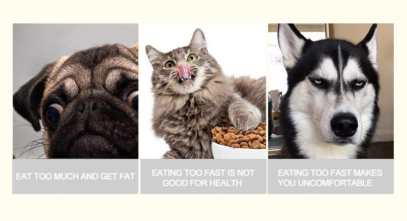 Portable Foldable Buckle Pet Dog Puppy Slow Feeding Bowl Feeder Food Grade Pet Bowl