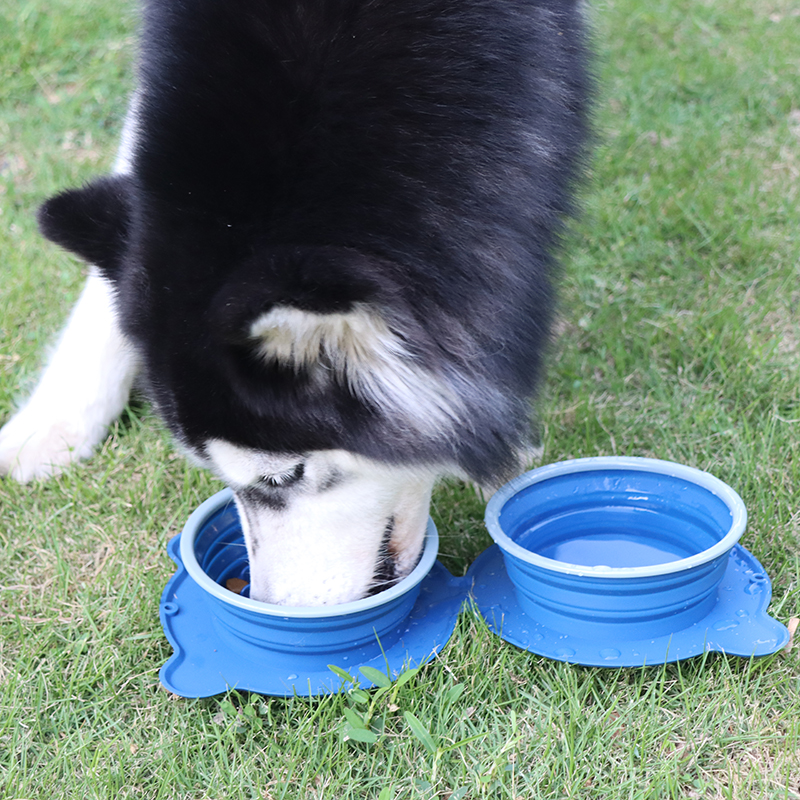Silicone Dog feeder Slow eating Pet Bowl Portable Travel Pet Water Bowl