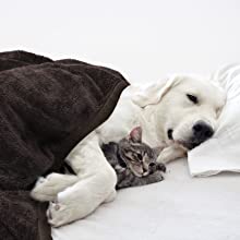 Waterproof Dog Blanket Super Soft Fluffy Puppy Blanket Furniture Protector Sofa Cat Blanket