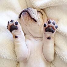 Waterproof Dog Blanket Super Soft Fluffy Puppy Blanket Furniture Protector Sofa Cat Blanket