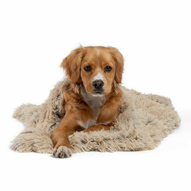 Pet Fleece Blanket Fluffy Dog Cat Blanket Soft Warm Puppy Blanket Cover for Small Medium Dogs