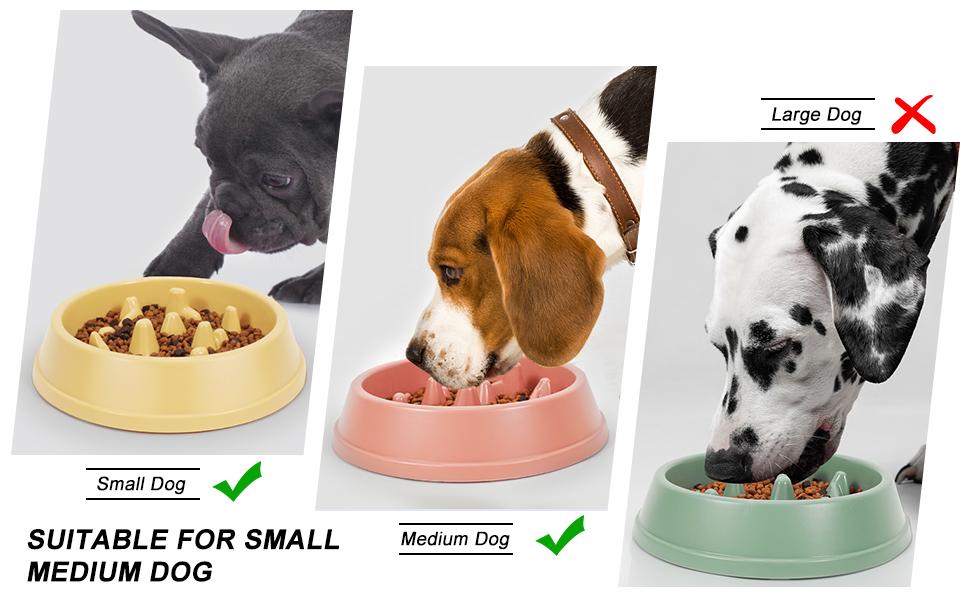  Pet Dog Slow Food Bowl Anti Choking Eco-Friendly Plastic Dog Feeder Pet Food Bowl