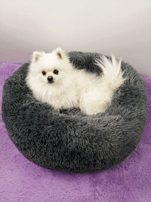 Self-Warming Pet Bed Cushion Small Medium Large Dog Kennels for Joint-Relief and Improved Sleep Washable Bottom