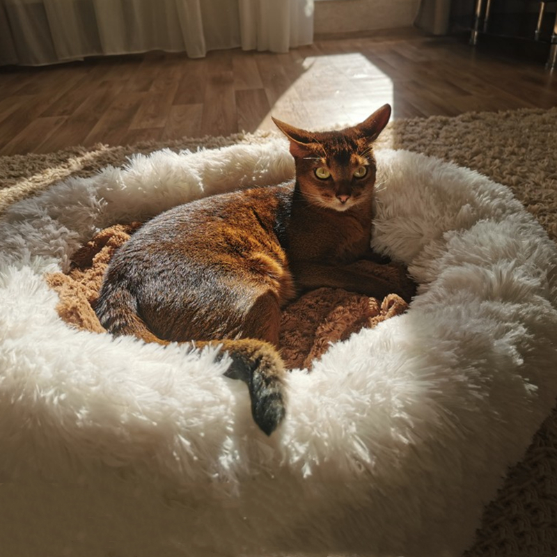 Sample Available Super Soft Dog Bed Plush Cat Mat Dog Beds For Large Dogs Bed Labradors House Round Cushion Pet Product 