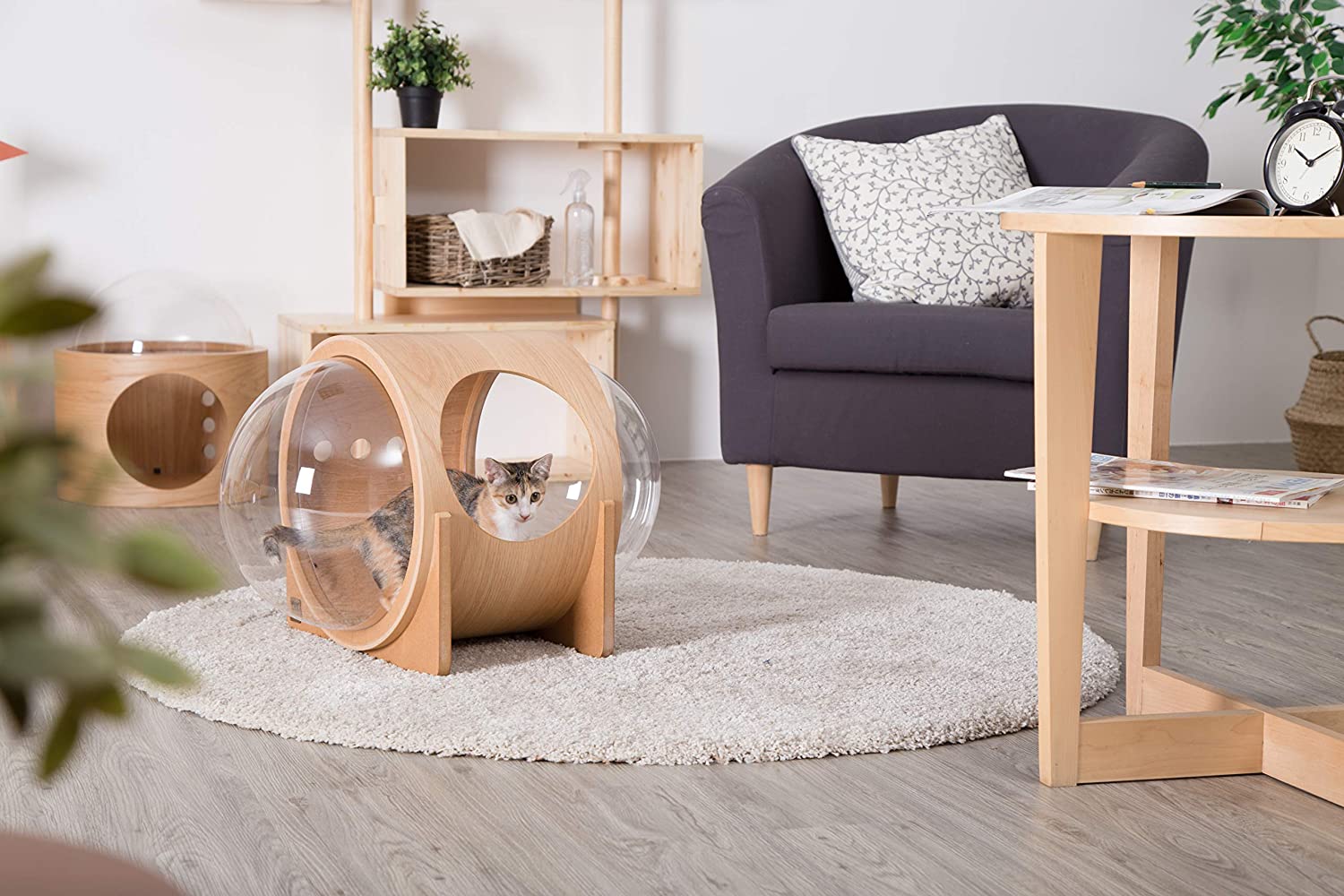 Spaceship Alpha, Warm and Cozy Pet Bed for Cat & Dog Designed Furniture Made of Wood Pet house for dog and cat