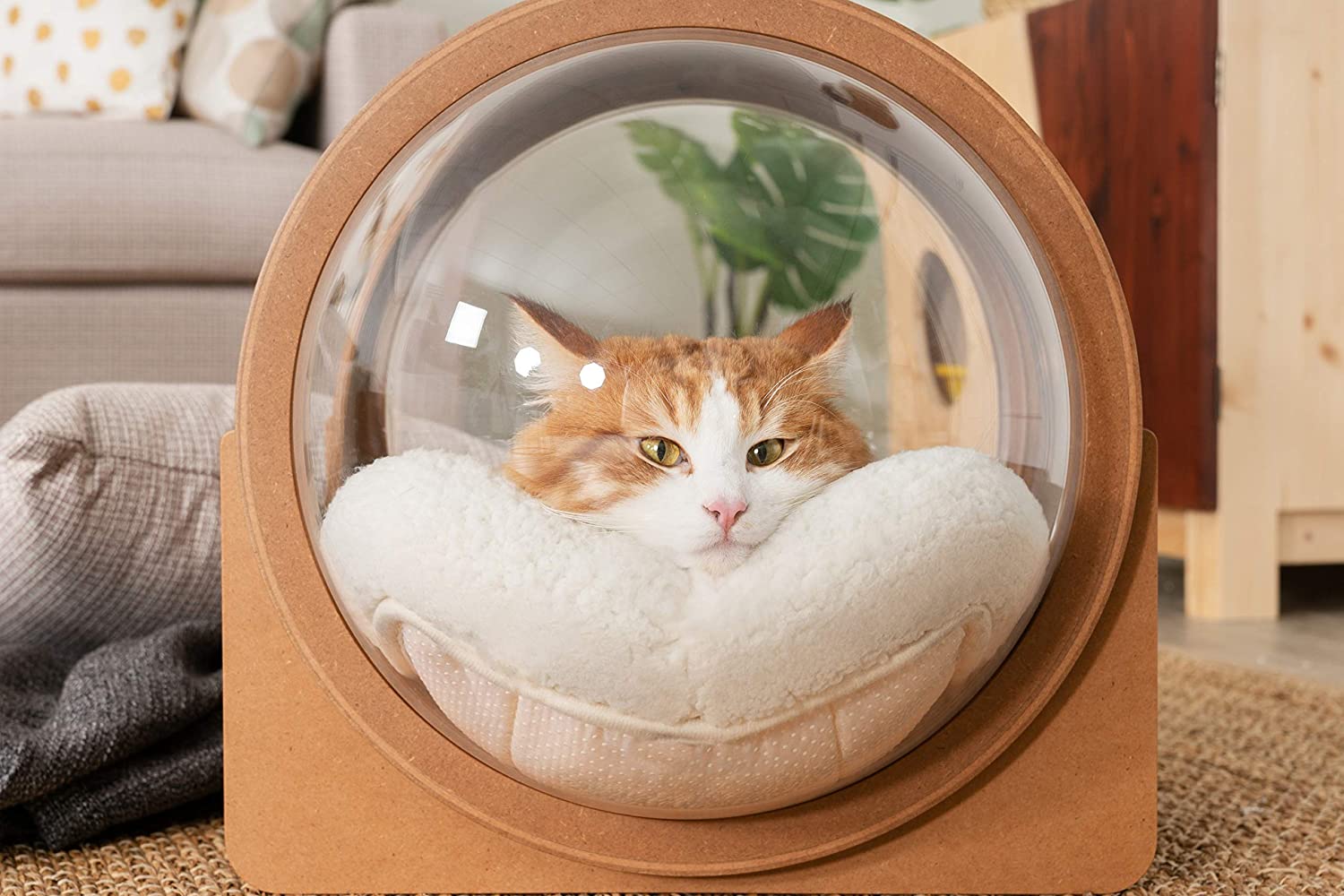Spaceship Alpha, Warm and Cozy Pet Bed for Cat & Dog Designed Furniture Made of Wood Pet house for dog and cat