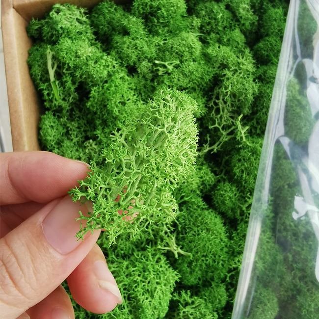moss wall panel decoration preserved moss grass wall art home decor art wall decor