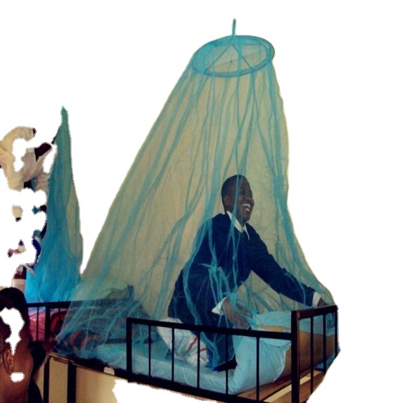 permanent treated mosquito netting large bed size
