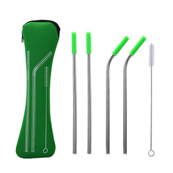 Eco Friendly Portable Bag 5pcs Stainless Steel Straws Metal Straw Set with Silicone Tips Straw Brush
