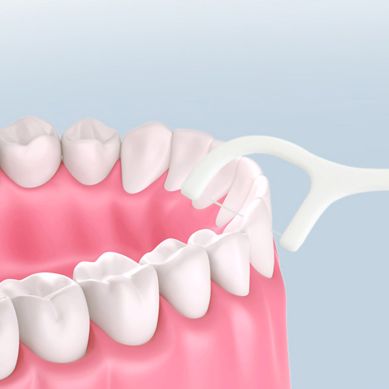  eco Floss Hilo Dental Children Animal Design Dental Floss Pick For Kids floss pick