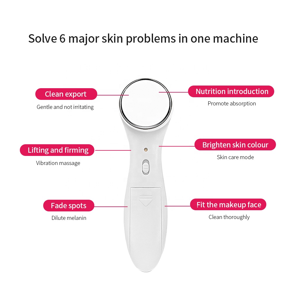 Electric Facial Massager Ionic Facial Vibration Deep Cleaning Beauty