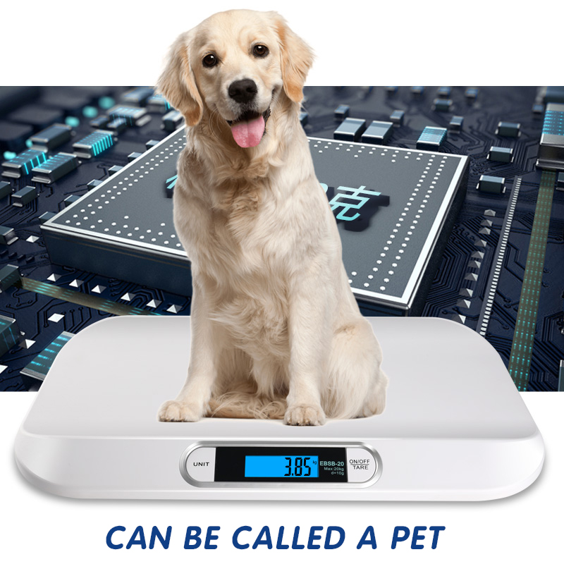 Weight Portable Music 20kg Mother care 2019 Best Seller Weighing Digital Thermometer 2in1 Toddler Growth Down Scale Baby
