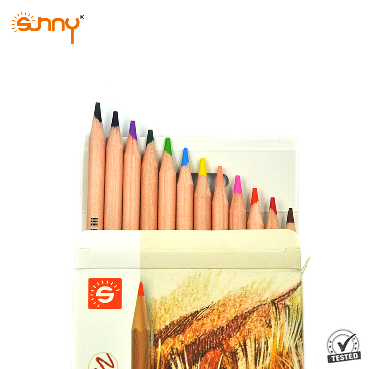 Professional 12 colors color box packing artist color pencil set