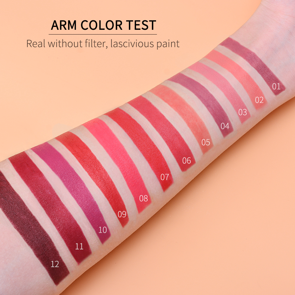 IBCCCNDC Cosmetics Matte Lipstick High Gloss Lip Make Up Lips Crayons Long Lasting Waterproof Lipsticks 12 Colors