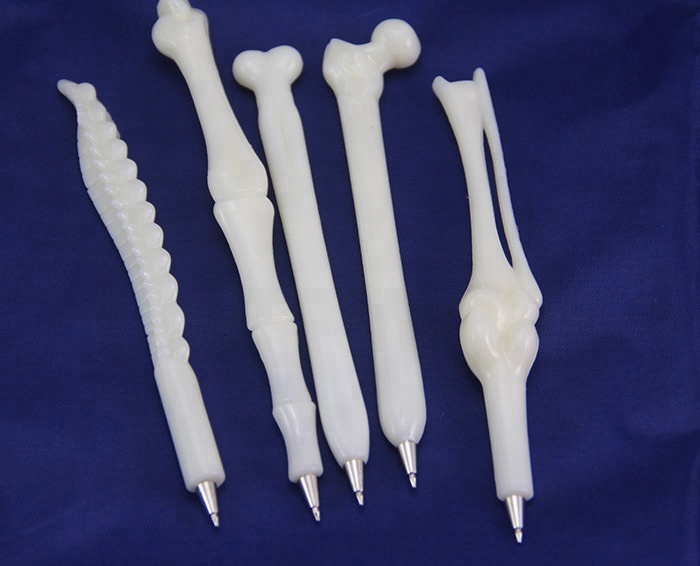   new style promotional plastic bone ballpoint Pen