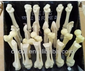   new style promotional plastic bone ballpoint Pen