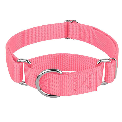Pet Training Supplies Heavyduty Nylon Pet Collars Martingale Dog Collar