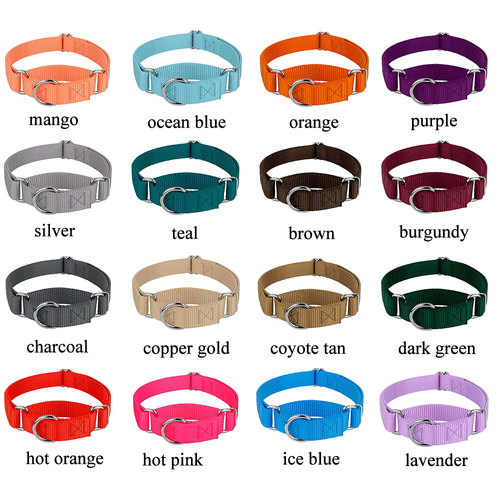 Pet Training Supplies Heavyduty Nylon Pet Collars Martingale Dog Collar