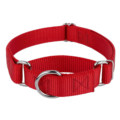 Pet Training Supplies Heavyduty Nylon Pet Collars Martingale Dog Collar