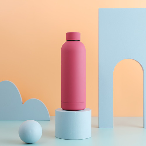 Stainless Steel Insulated Drink Bottle  Water Bottle for Vendors