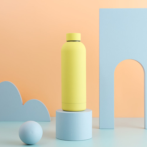 Stainless Steel Insulated Drink Bottle  Water Bottle for Vendors