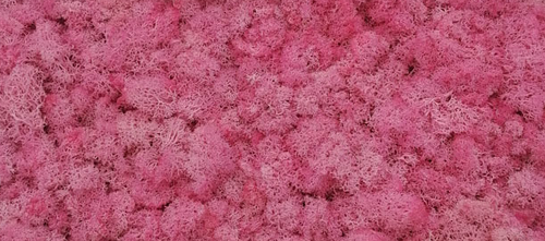 moss wall panel decoration preserved moss grass wall art home decor art wall decor
