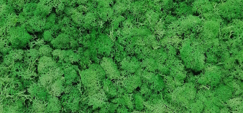 moss wall panel decoration preserved moss grass wall art home decor art wall decor