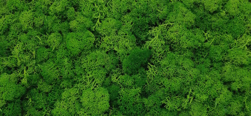 moss wall panel decoration preserved moss grass wall art home decor art wall decor