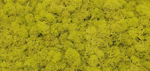 moss wall panel decoration preserved moss grass wall art home decor art wall decor