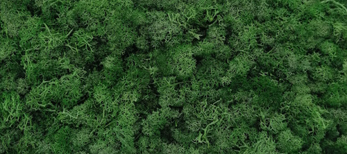 moss wall panel decoration preserved moss grass wall art home decor art wall decor