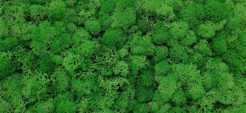 moss wall panel decoration preserved moss grass wall art home decor art wall decor
