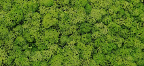 moss wall panel decoration preserved moss grass wall art home decor art wall decor
