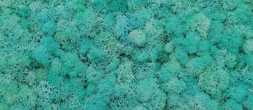 moss wall panel decoration preserved moss grass wall art home decor art wall decor