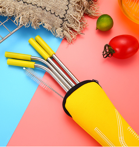 Eco Friendly Portable Bag 5pcs Stainless Steel Straws Metal Straw Set with Silicone Tips Straw Brush