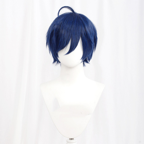  30cm Short MSN Wig Cosplay Multi Colors Straight Peluca Synthetic Anime Hair Cosplay Heat Resistant Wigs For P