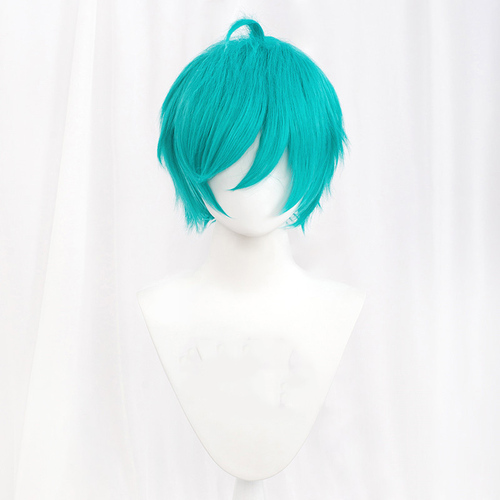  30cm Short MSN Wig Cosplay Multi Colors Straight Peluca Synthetic Anime Hair Cosplay Heat Resistant Wigs For P