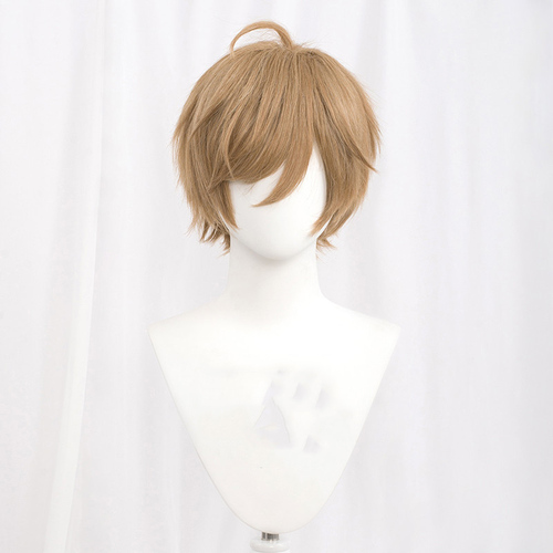  30cm Short MSN Wig Cosplay Multi Colors Straight Peluca Synthetic Anime Hair Cosplay Heat Resistant Wigs For P