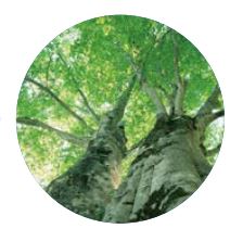 Plastic (APP) modified asphalt waterproof sheet waterproof film rubber coil roofing waterproof film is a good substitute